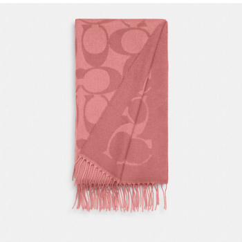 Coach COACH Cashmere blend signature scarf CU807 - # pink pink