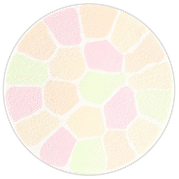 Elegance Elegance Powder (Regular Size) - # #6 Color #6 Color