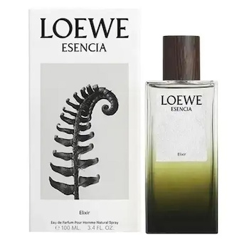 Loewe Loewe Esencia Elixir (Eau De Parfum) Homme EDT 100ml