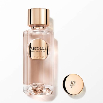 Lancome Not Your Rose (Absolue Les Parfums) 100ml
