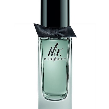 Burberry My Burberry for Men Eau de Toilette 100ml