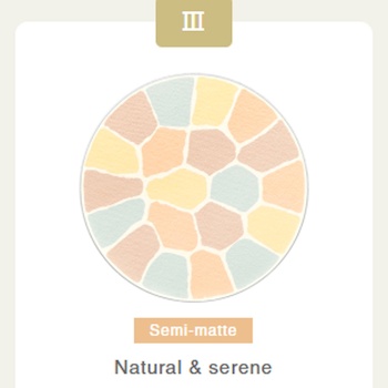 Albion Elegance La Poudre Haute Nuance 8.8g - # Shade III Shade III