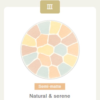 Albion Elegance La Poudre Haute Nuance 27g - # Shade III Shade III