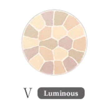 Elegance Elegance Powder (Regular Size) - # #5 Color 