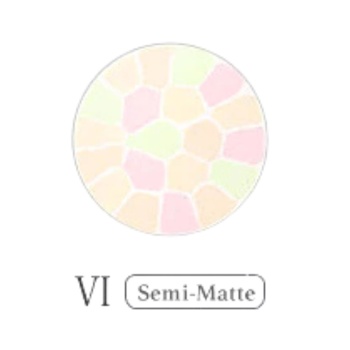 Elegance Elegance Powder (Regular Size) - # #6 Color 