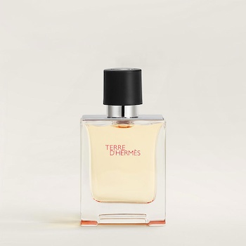 Hermes HERMES Terre d Hermes Eau de Toilette 50ml 50ml