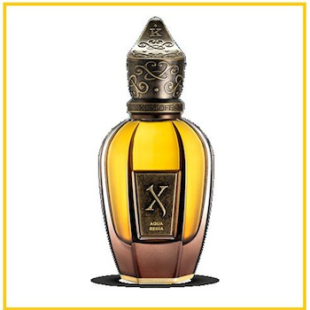 Xerjoff K COLLECTION AQUA REGIA PARFUM SPRAY 100ML
