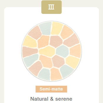 Albion Elegance La Poudre Haute Nuance 27g - # Shade III Shade III