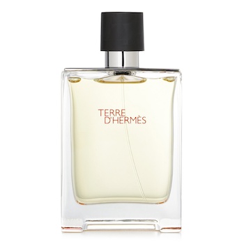 에르메스 Hermes Hermes Terre D'Hermes Eau De Toilette Spray 100ml