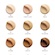#10 Coquillage