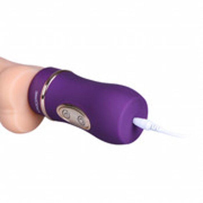 Erocome Auriga - Purple Fixed Size