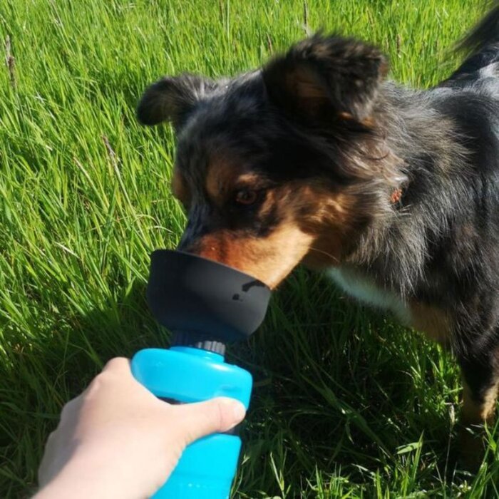 LESOTC LESOTC Portable Pet Water Bottle for Dogs - Blue Picture ColorProduct Thumbnail