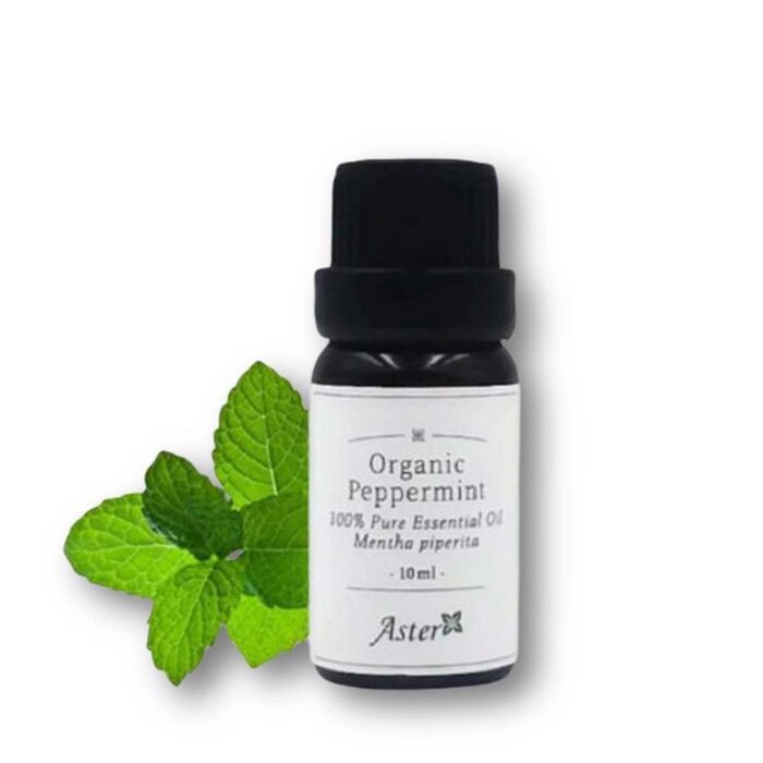 Aster Aroma 有機胡椒薄荷香薰精油 10ml Fixed SizeProduct Thumbnail