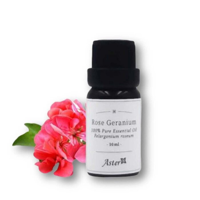Aster Aroma Rose Geranium Pure Essential Oil 10ml Fixed SizeProduct Thumbnail