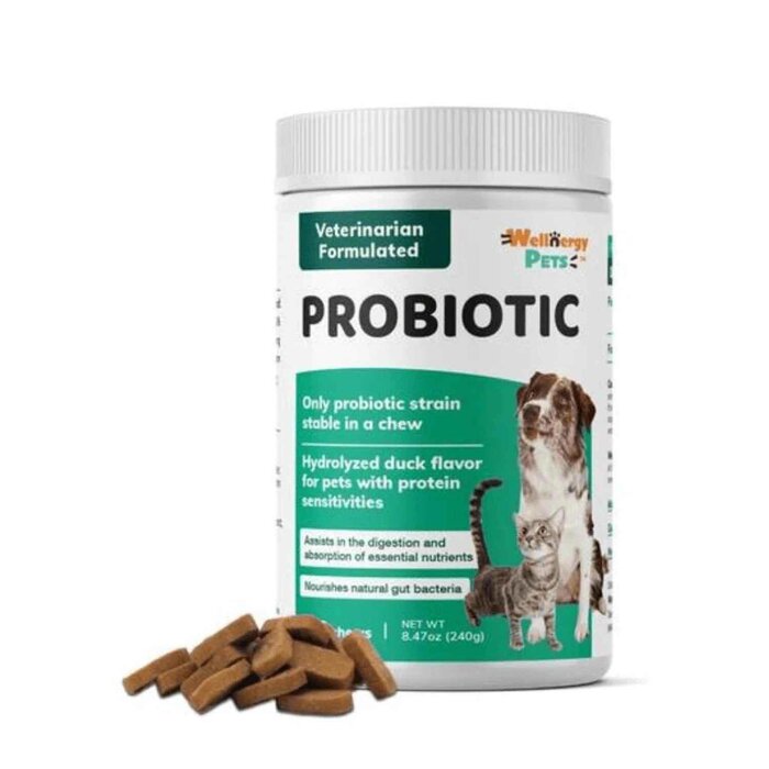 Wellnergy Pets Wellnergy Pets - PROBIOTICS for dogs and cats #Veterinarian Formulated #Non-GMO 240.0g/ml (850013105090) Fixed SizeProduct Thumbnail