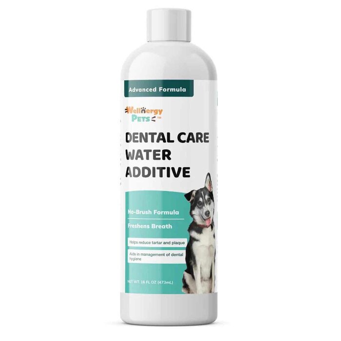 Wellnergy Pets Wellnergy Pets - Veterinarian Formulated DENTAL CARE WATER ADDITIVE for dogs and cats 473ml (850013105175) Fixed SizeProduct Thumbnail