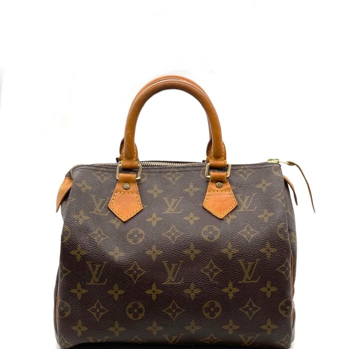 Louis Vuitton Louis Vuitton Speedy 25 Fixed SizeProduct Thumbnail