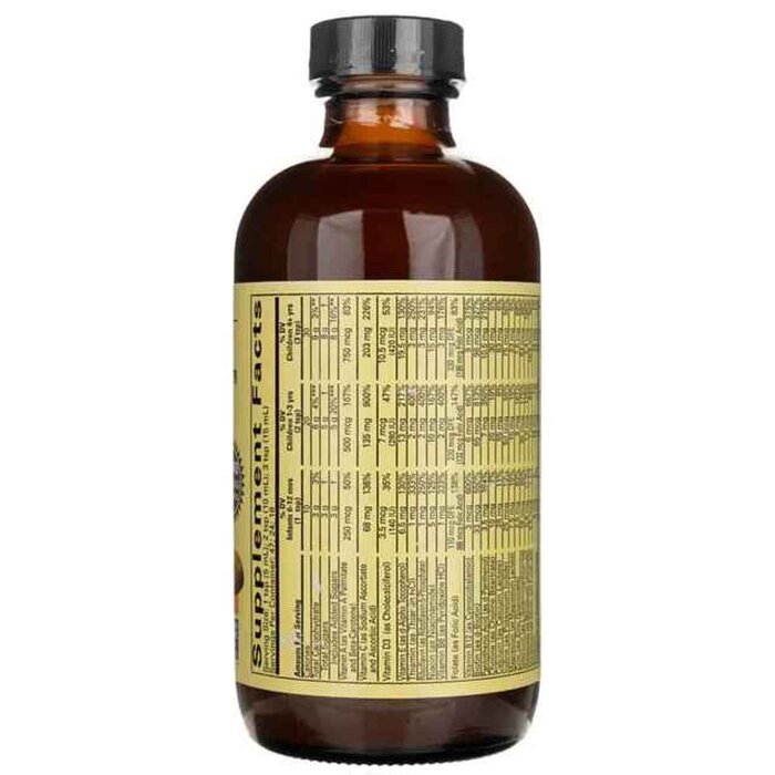 ChildLife Multi Vitamin & Mineral (Natural Orange-Mango Flavor) 237mlProduct Thumbnail
