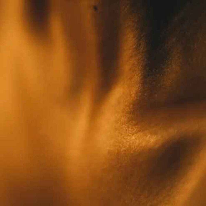 Blossom Blossom Silk Skin Body Serum, Spices & Sandalwood, Designed from the UK Fixed SizeProduct Thumbnail