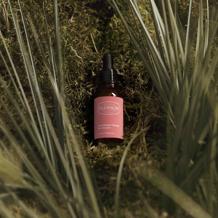 Blossom Blossom Antioxidant Ginkgo Gel Booster, Designed from the UK Fixed SizeProduct Thumbnail