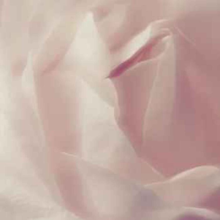 Blossom Blossom Cleansing Foam, Designed from the UK Fixed SizeProduct Thumbnail
