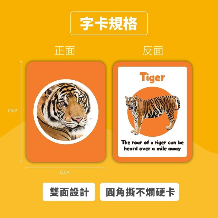 Curios English Flashcard Fixed SizeProduct Thumbnail
