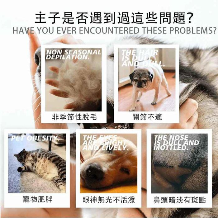 BiologicVet BioFATS Omega 3-6-9 寵物維生素魚油 355毫升 猫狗通用 355mlProduct Thumbnail