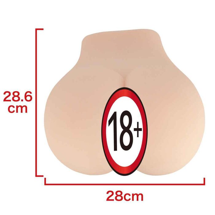 NPG The Fourth Nippori True Gokujo Namagoshi ARINA HASHIMOTO Fixed SizeProduct Thumbnail