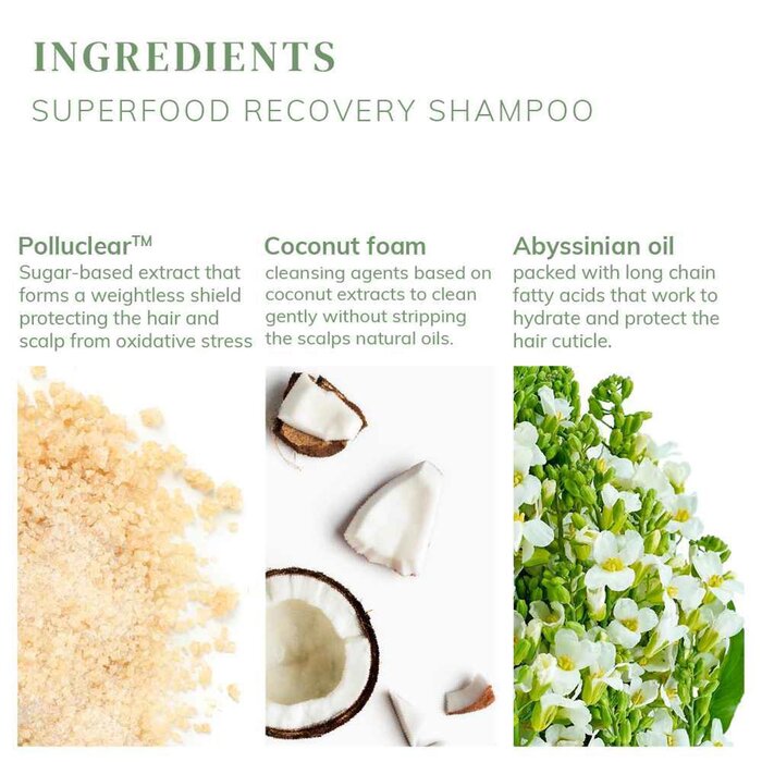 Abyssian Superfood Recovery Shampoo 500 mlProduct Thumbnail
