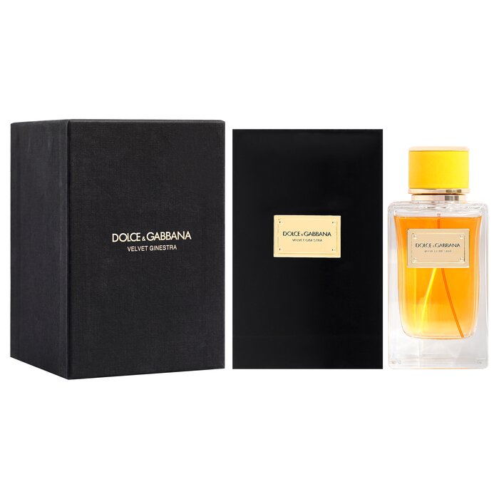 Dolce & Gabbana Velvet Ginestra by Dolce and Gabbana for Women - 5 oz EDP Spray 5 ozProduct Thumbnail