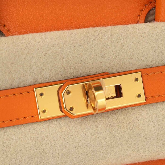 Hermes BIRKIN 25 HANDBAG Picture ColorProduct Thumbnail