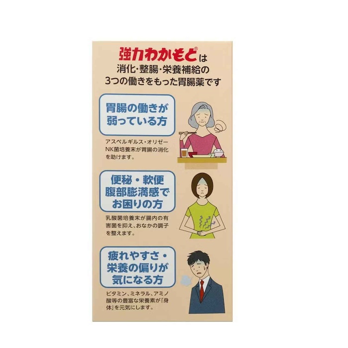 Wakamoto 若素 強力Wakamoto 若元錠 1 PIECESProduct Thumbnail