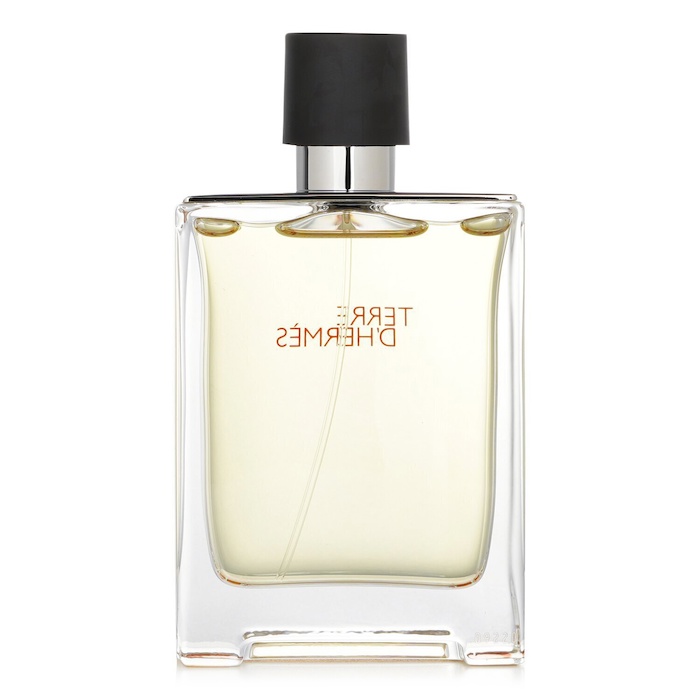 에르메스 Hermes Hermes Terre D'Hermes Eau De Toilette Spray 100mlProduct Thumbnail