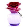 Justin Bieber Someday Eau De Parfum Spray 100ml/3.4oz