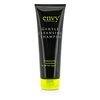 Professional Gentle Cleansing Shampoo (For All Hair Types) 250ml/8.4oz