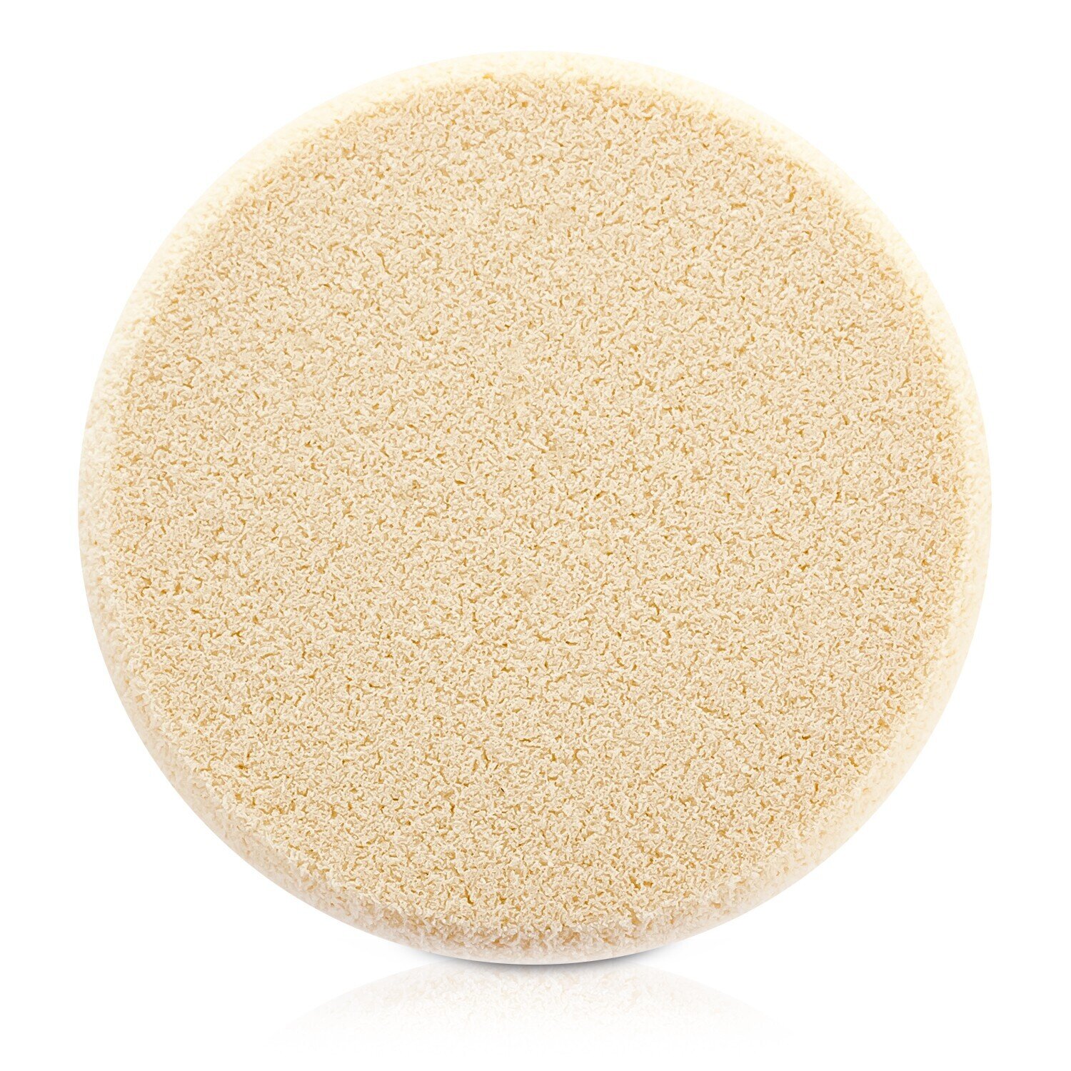 Kanebo Total Finish Sponge (Refill) Picture Color