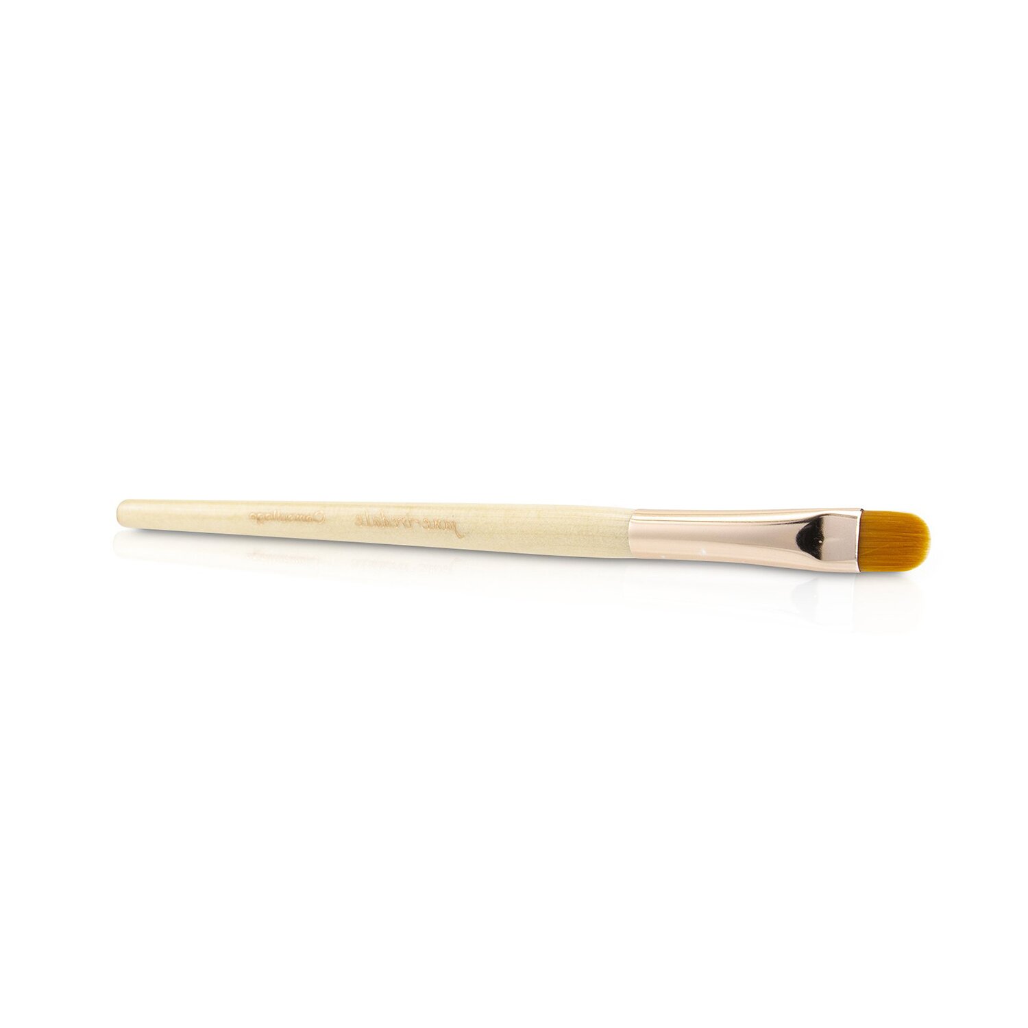 Jane Iredale Camouflage Brush Picture Color