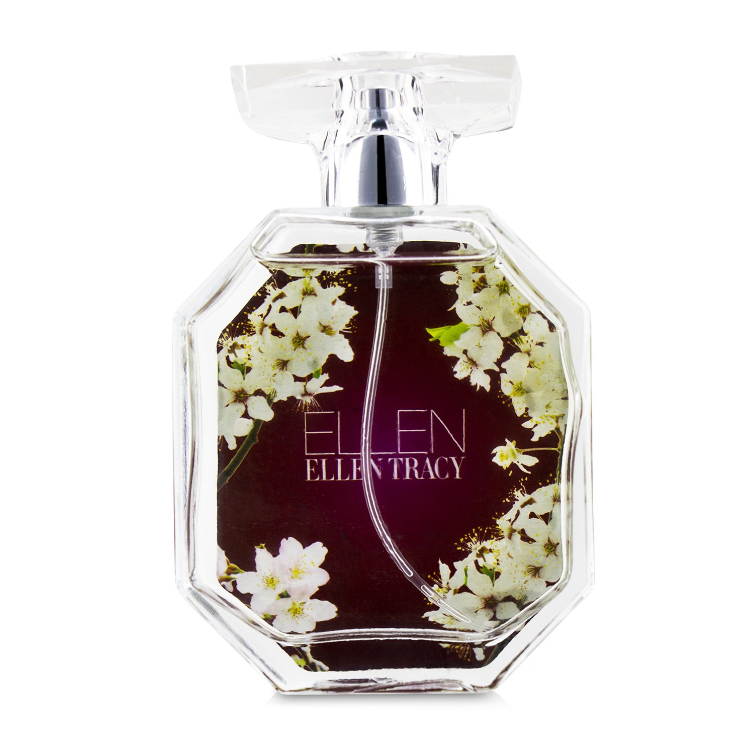 Ellen Tracy Day Dream Eau De Parfum Spray 100ml/3.4oz