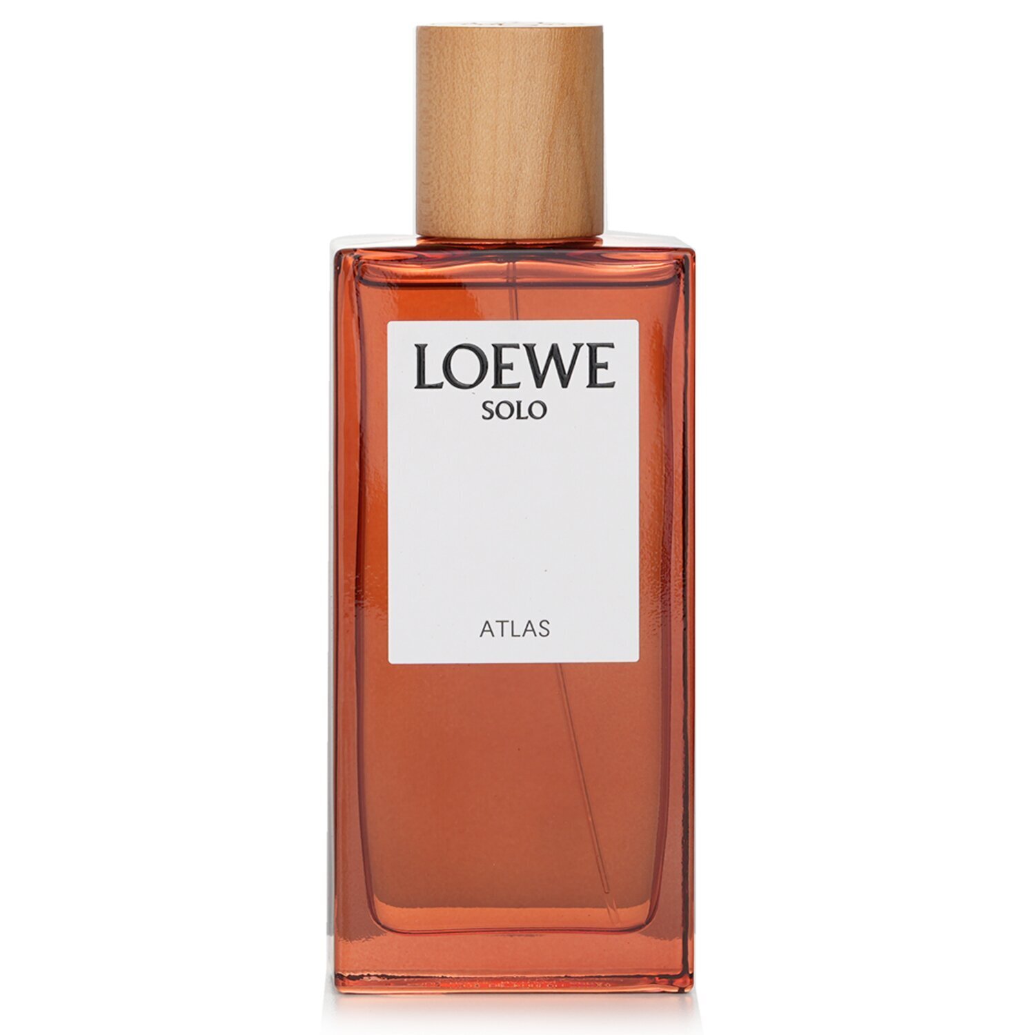 Loewe Solo Atlas Eau De Parfum Spray 100ml/3.3oz