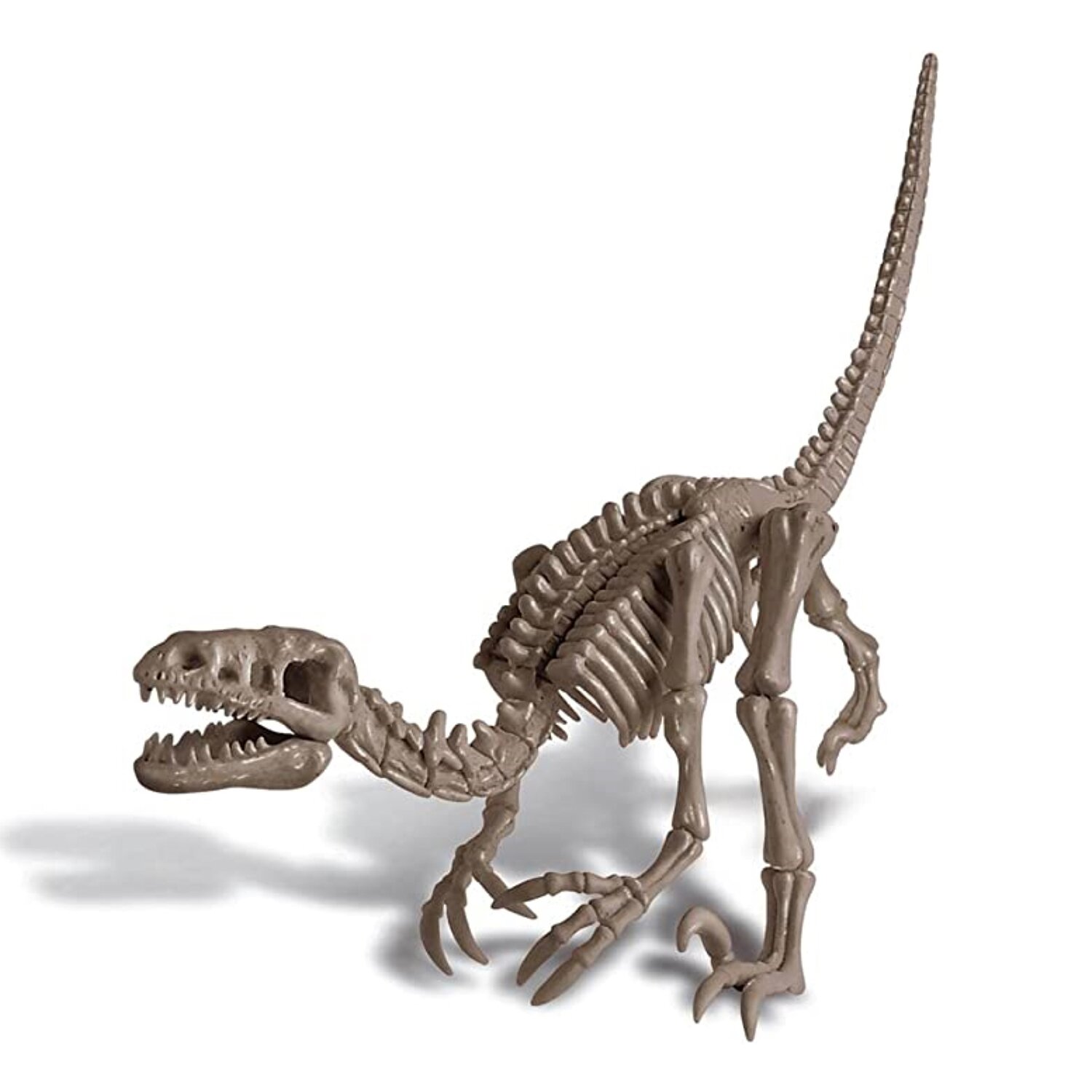 4M KidzLabs/Dig a Dinosaur Skeleton/Velociraptor 22x17x6cm