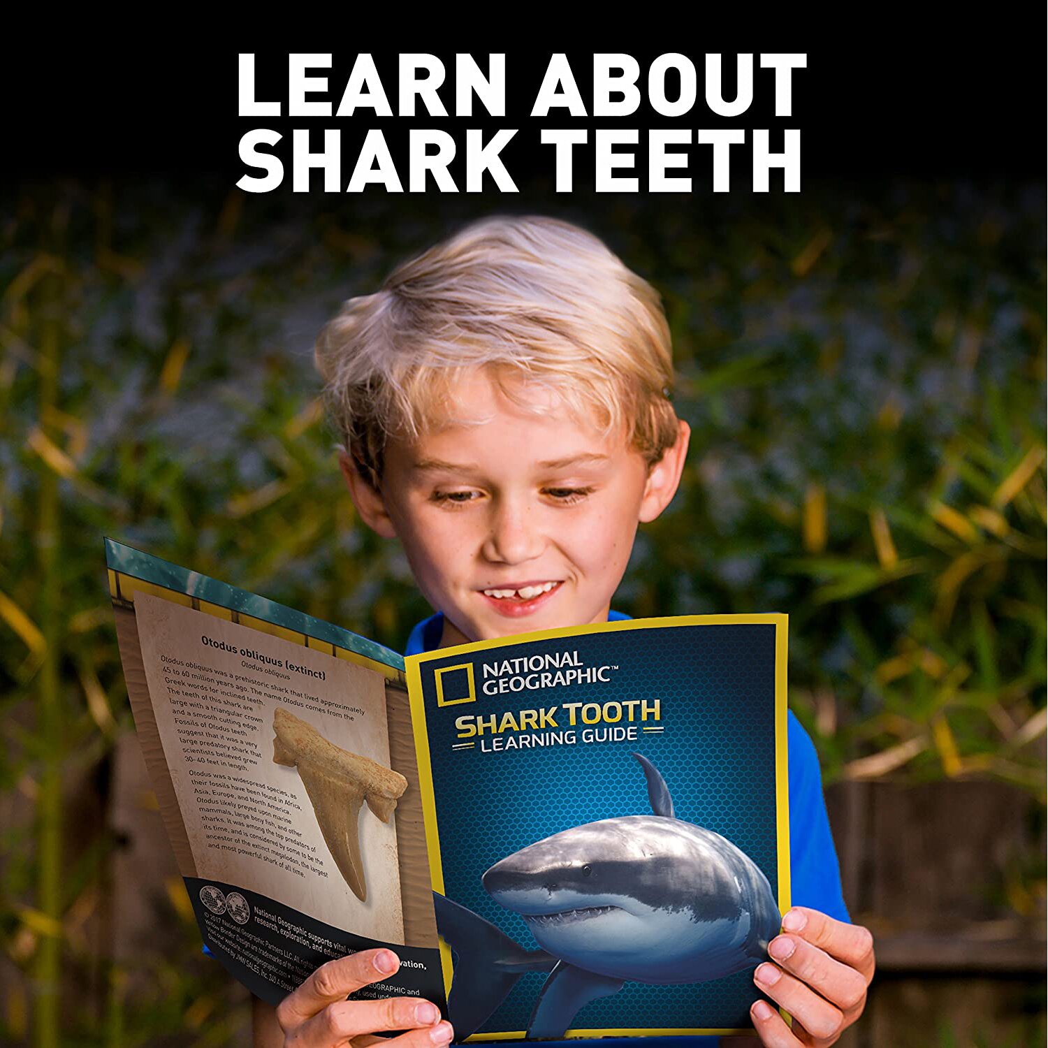 National Geographic National Geographic Shark Tooth Dig Kit 18 x 6 x 25cm