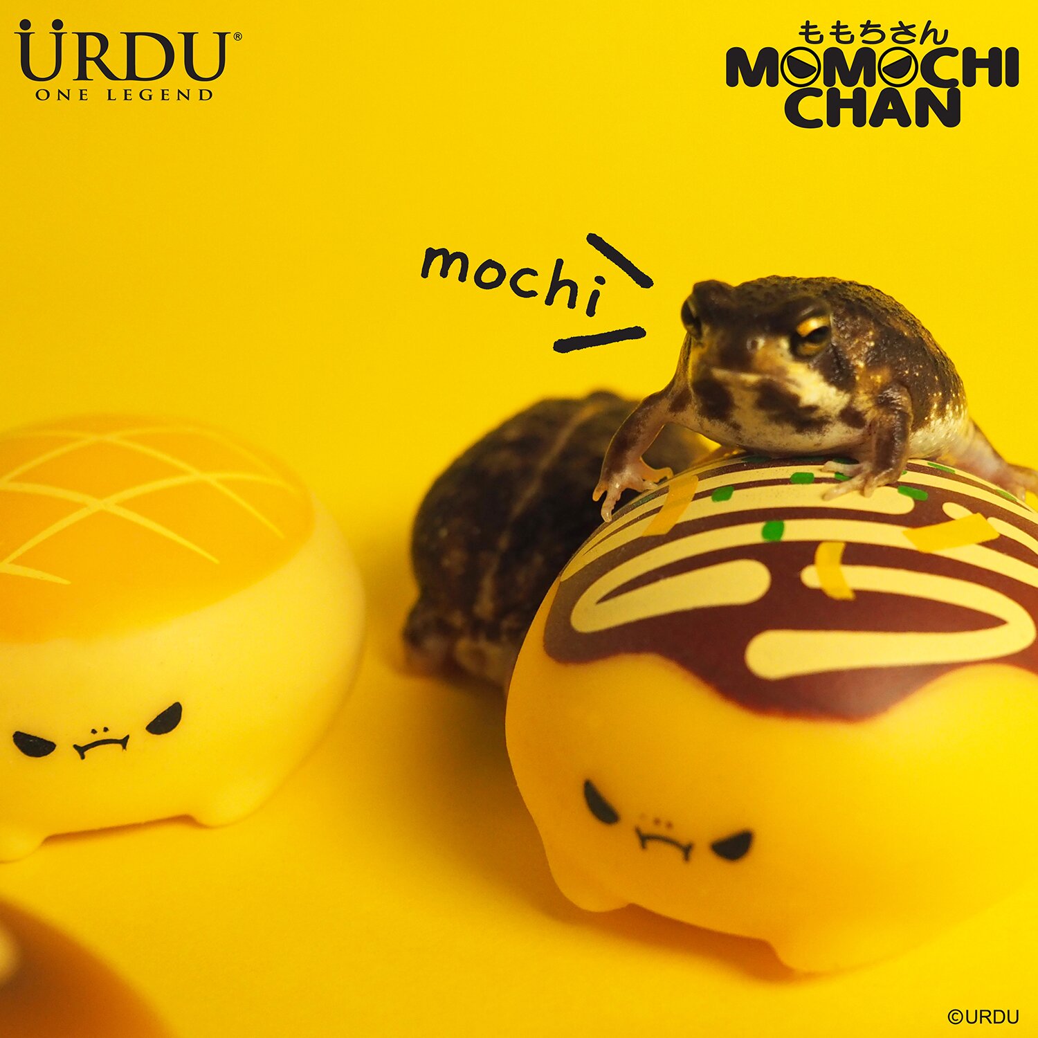 Urdu Momochichan - (Case of 6 Blind Boxes) 25x11x13cm