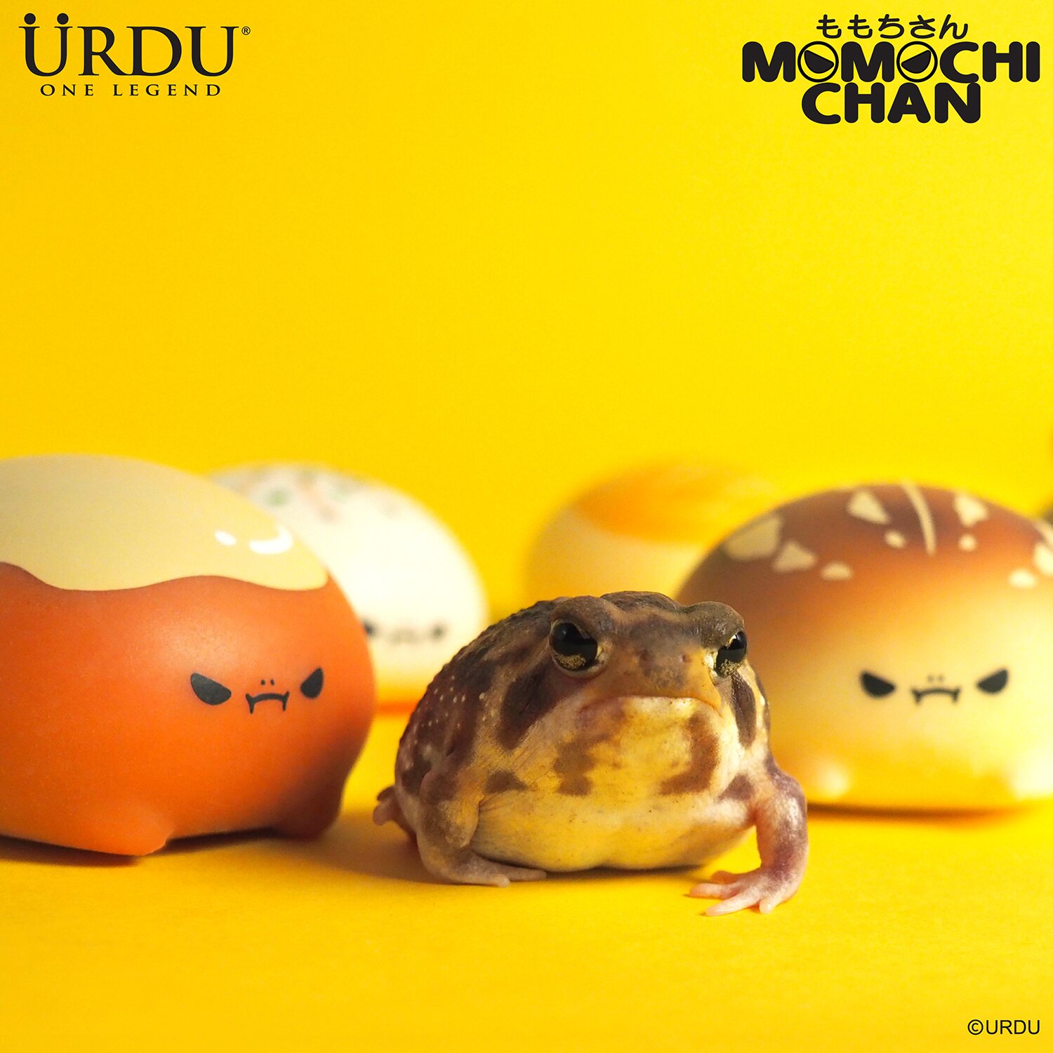 Urdu Momochichan - (Case of 6 Blind Boxes) 25x11x13cm