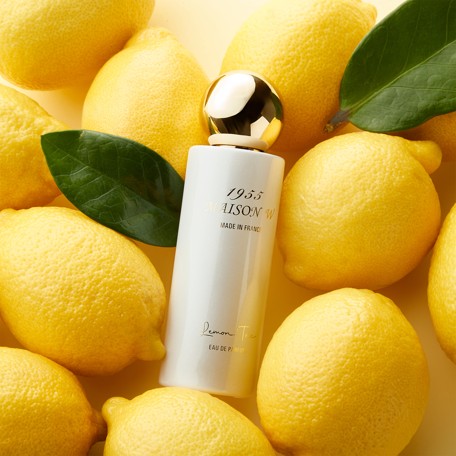 Maison W 1955 Maison W Eau De Parfum 50ml (Lemon Tree/Santal Glow) 50ml