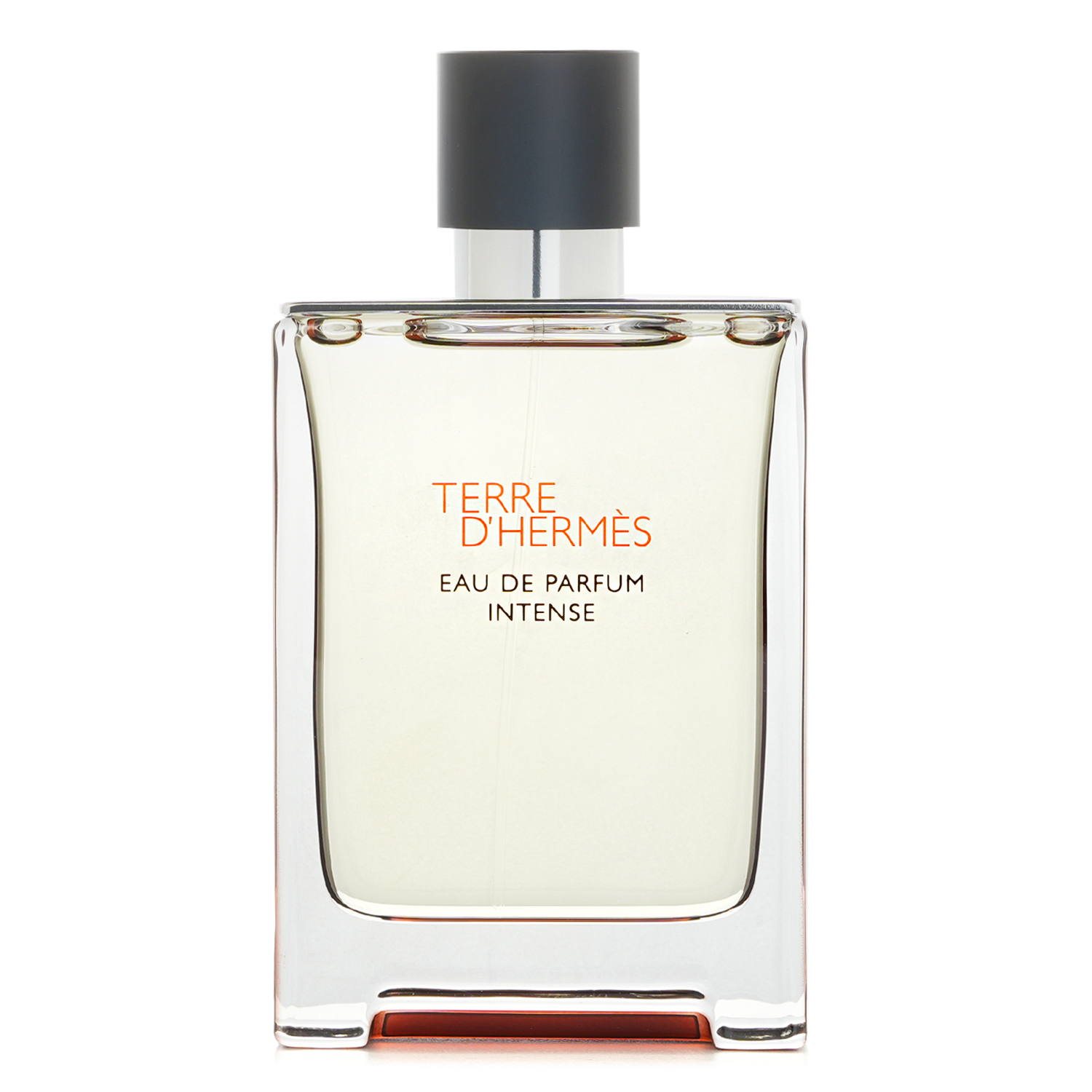 Hermes Terre D'Hermes Eau de Parfum Intense 100ml